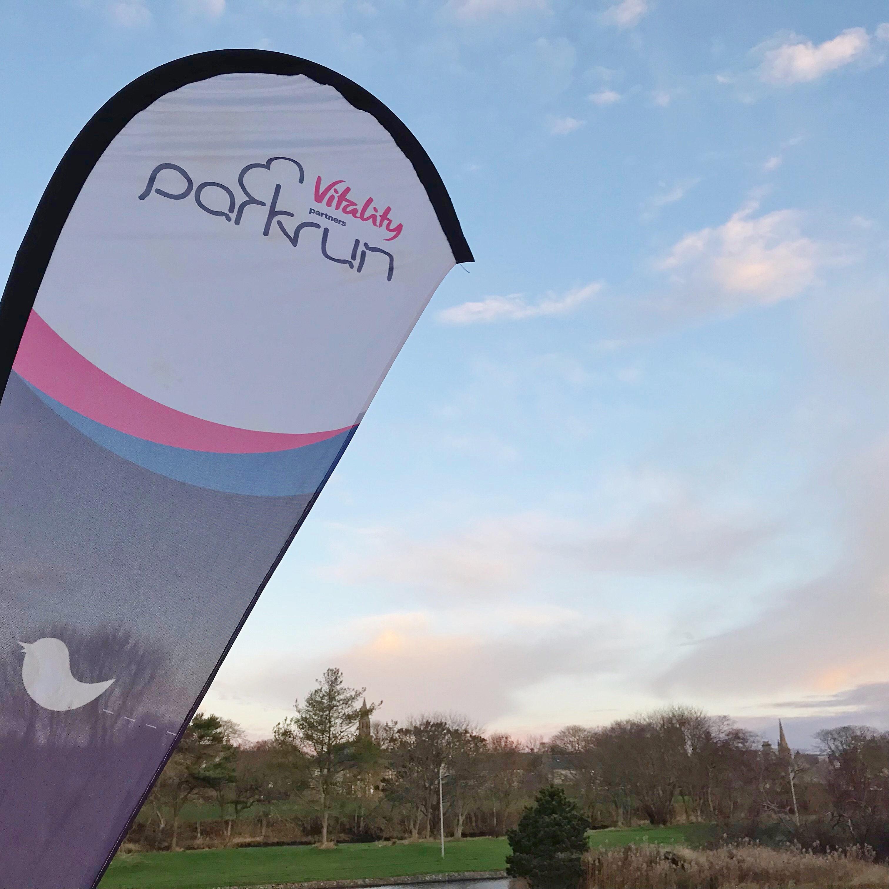 Picture of Parkrun flag