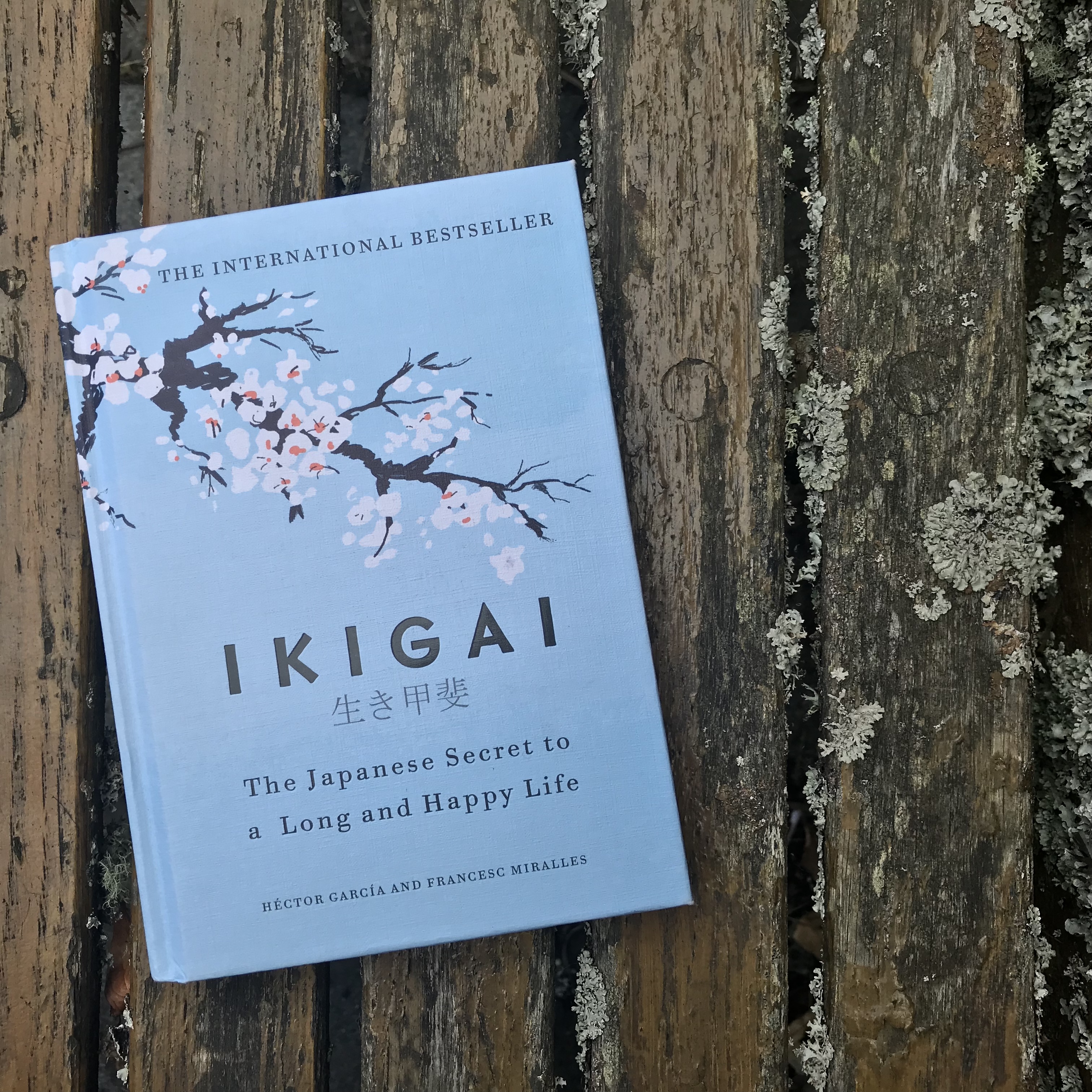 Copy of Ikigai Book on bench