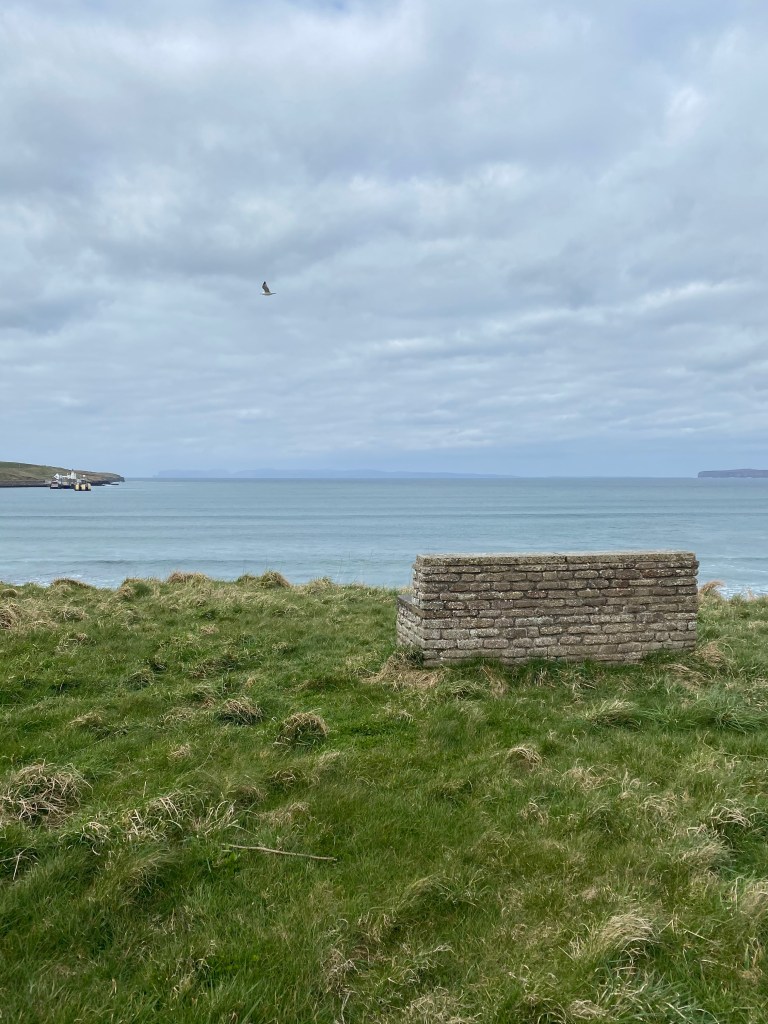 View to Sea, April 2020, Caithness