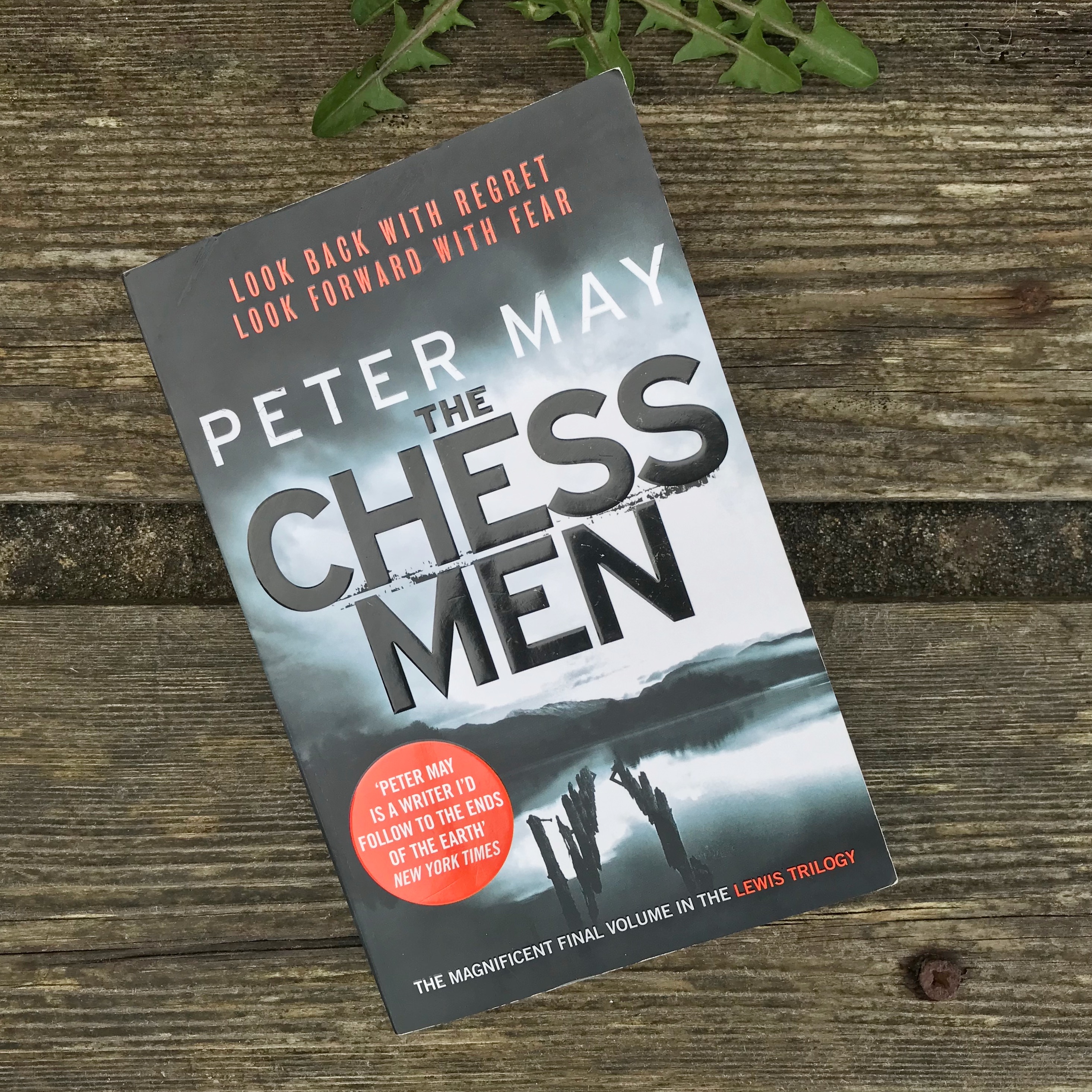 'The Chessmen' book by Peter May on bench