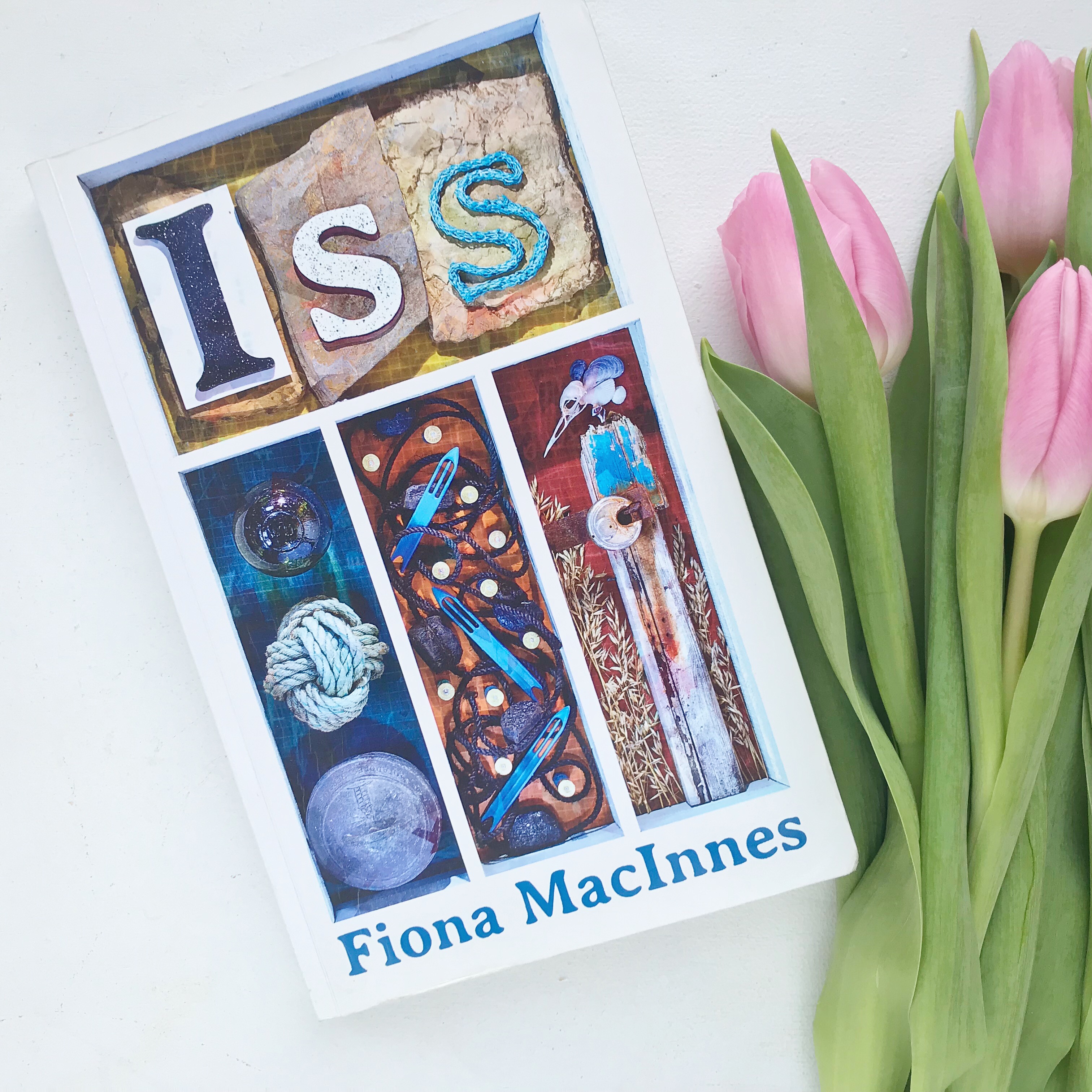 Photo of 'ISS', by Fiona MacInnes