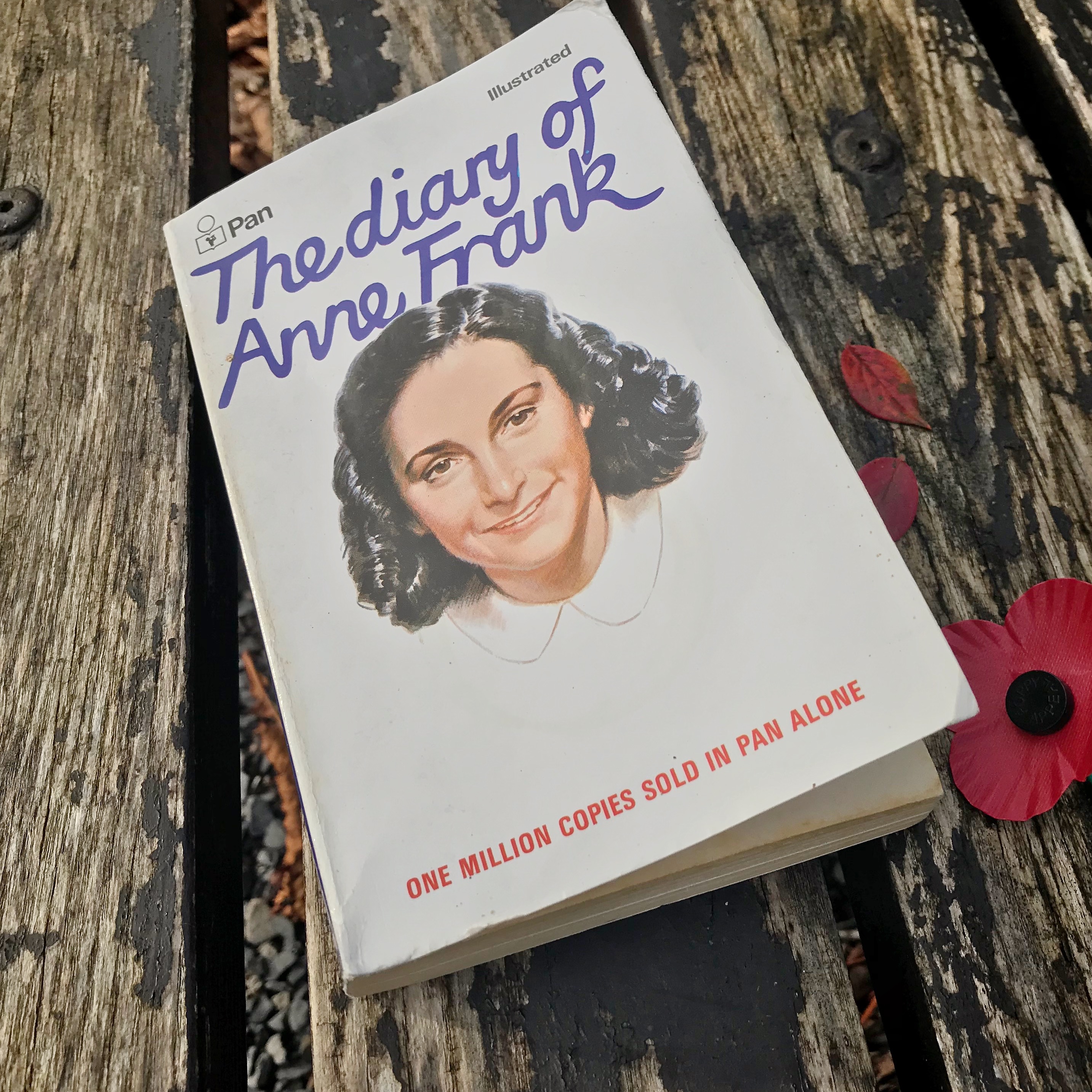 Picture of 'The Diary of Anne Frank' and poppy