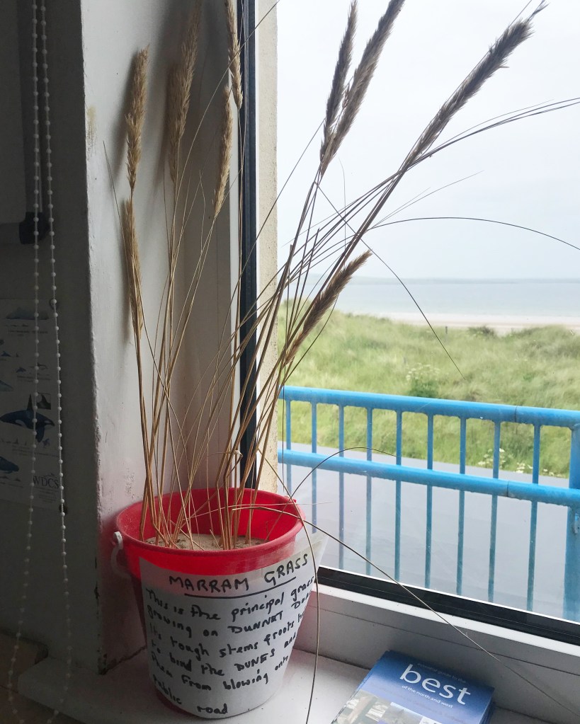 Scene from beach window, Caithness