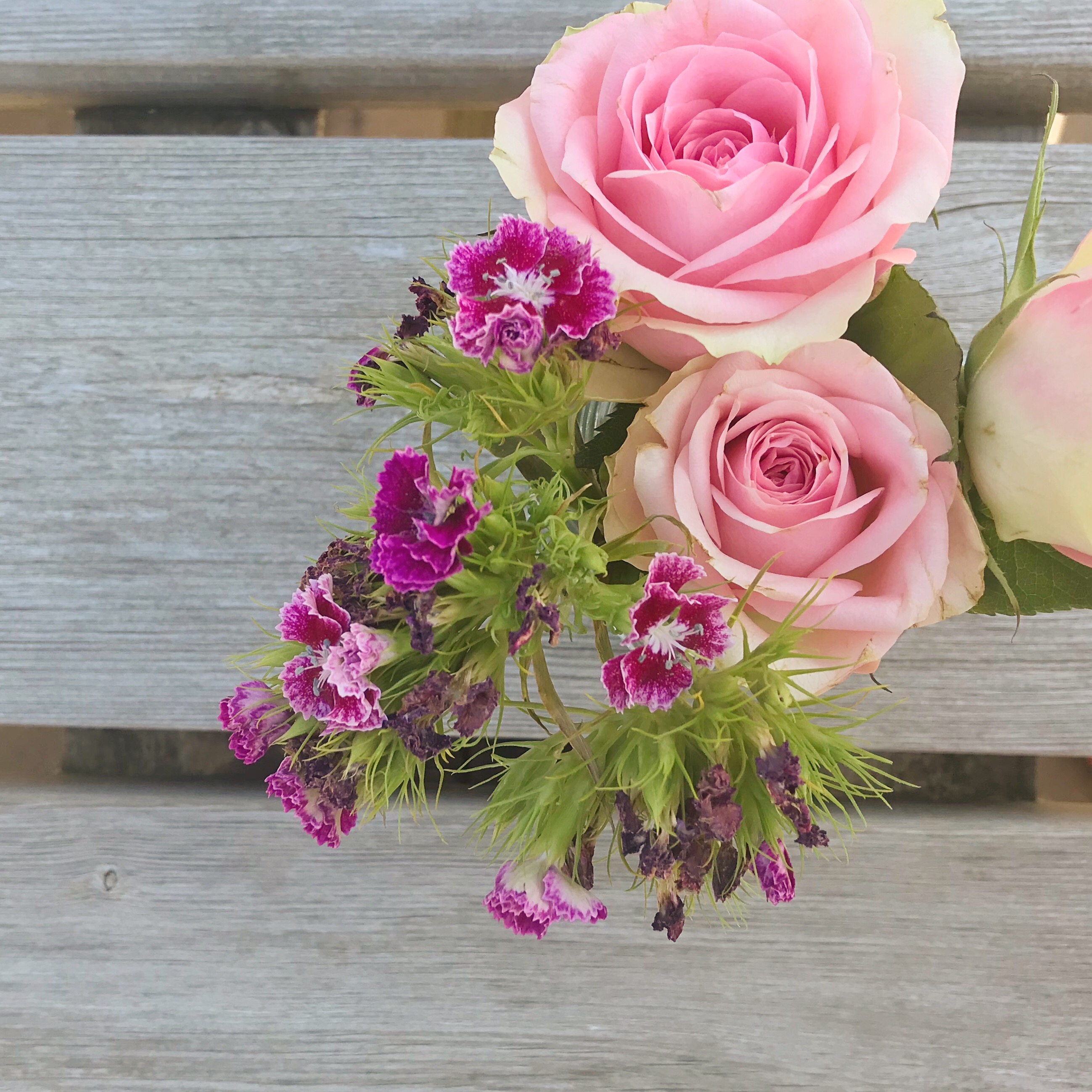 Pink Roses and Sweet Williams in Jar