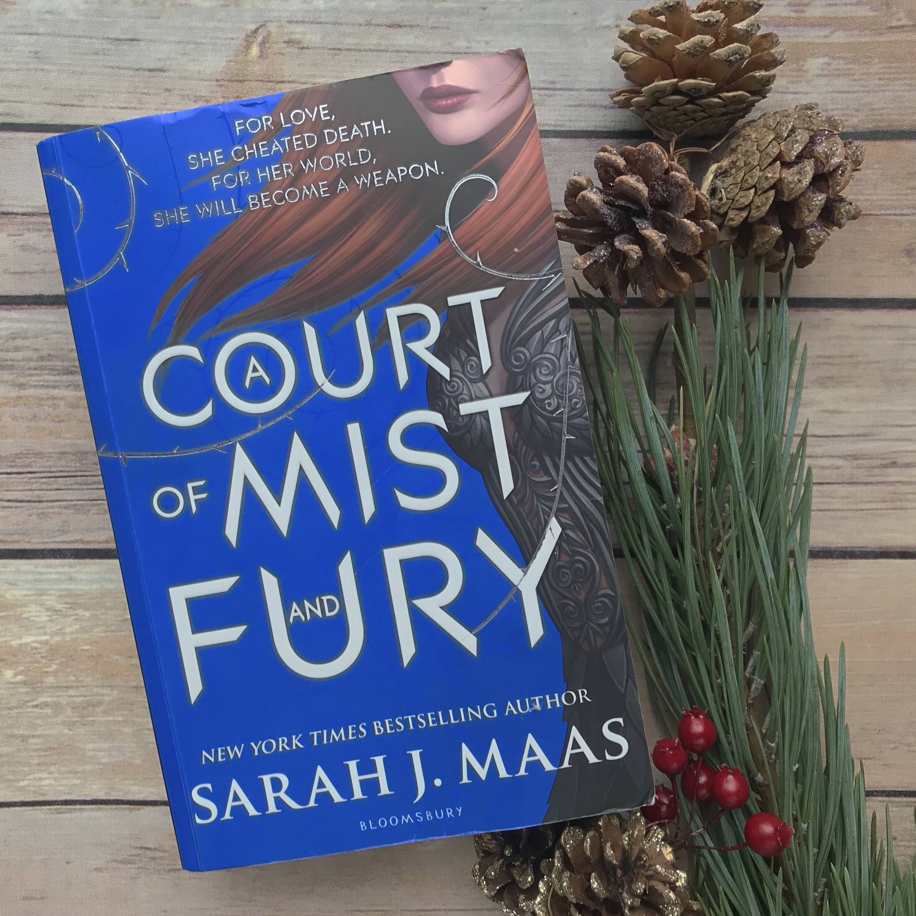 Picture of 'A Court of Mist and Fury' book