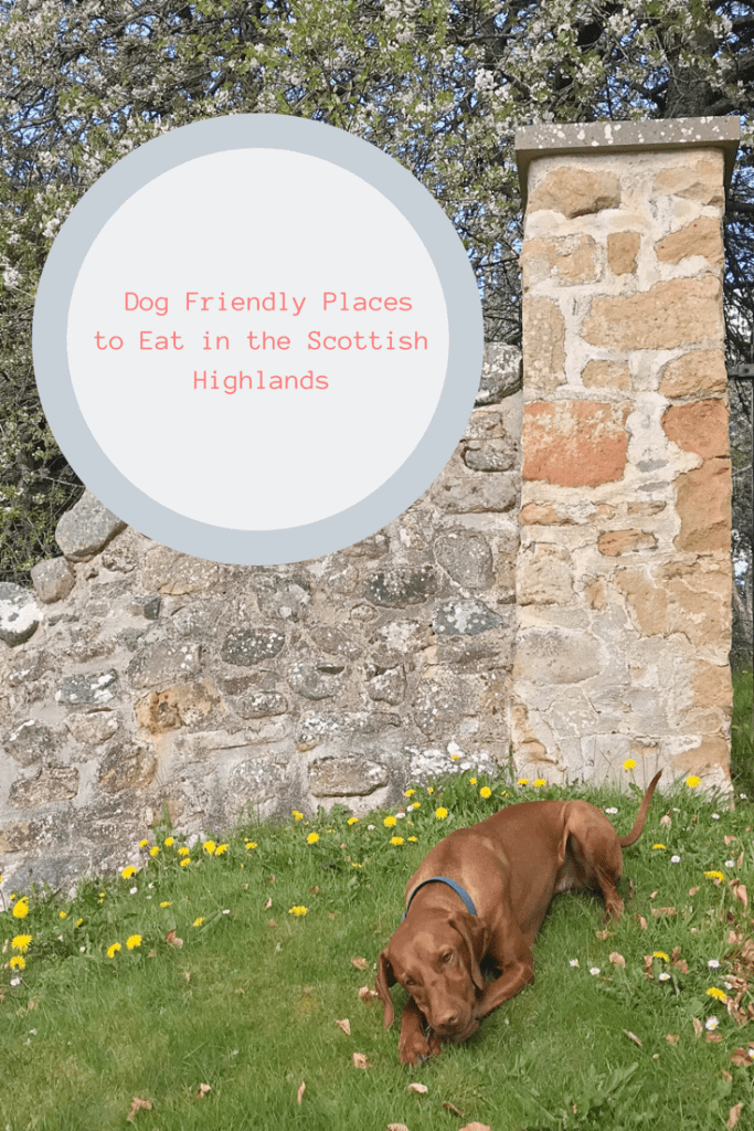 Dog friendly places to eat in the Highlands
