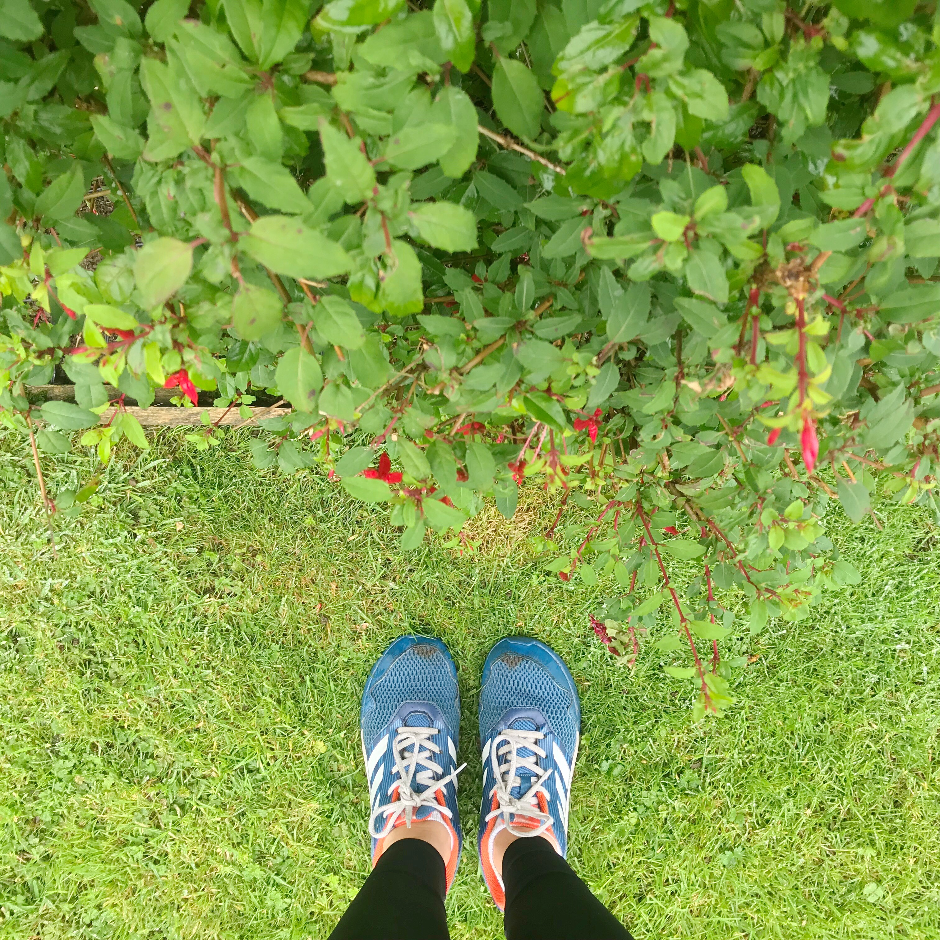 Picture of feet in running shoes