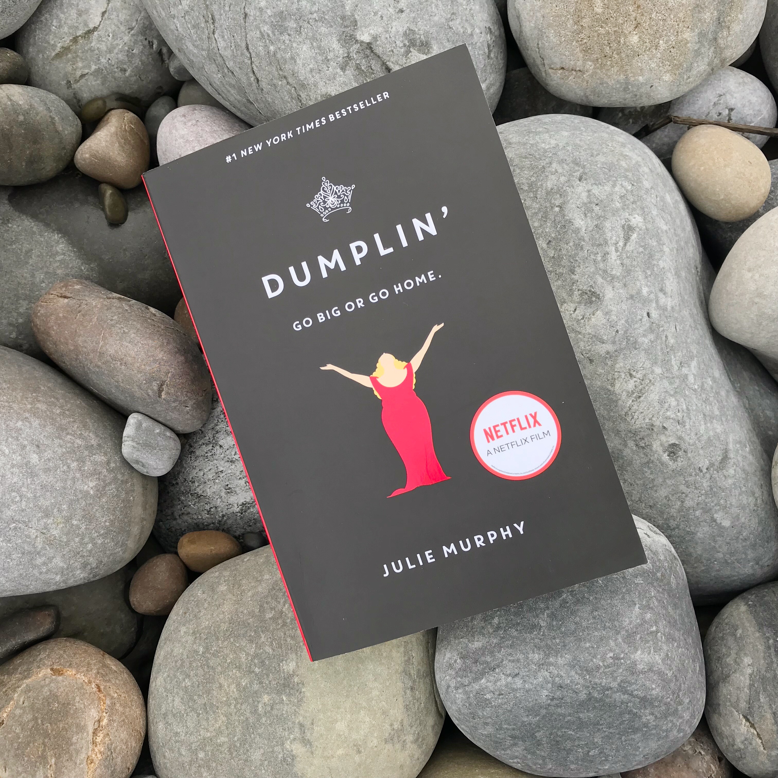 Picture of 'Dumplin'' book on rocks