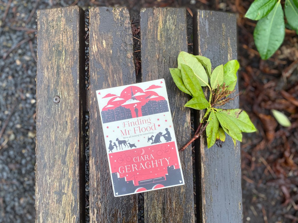 Finding Mr Flood book