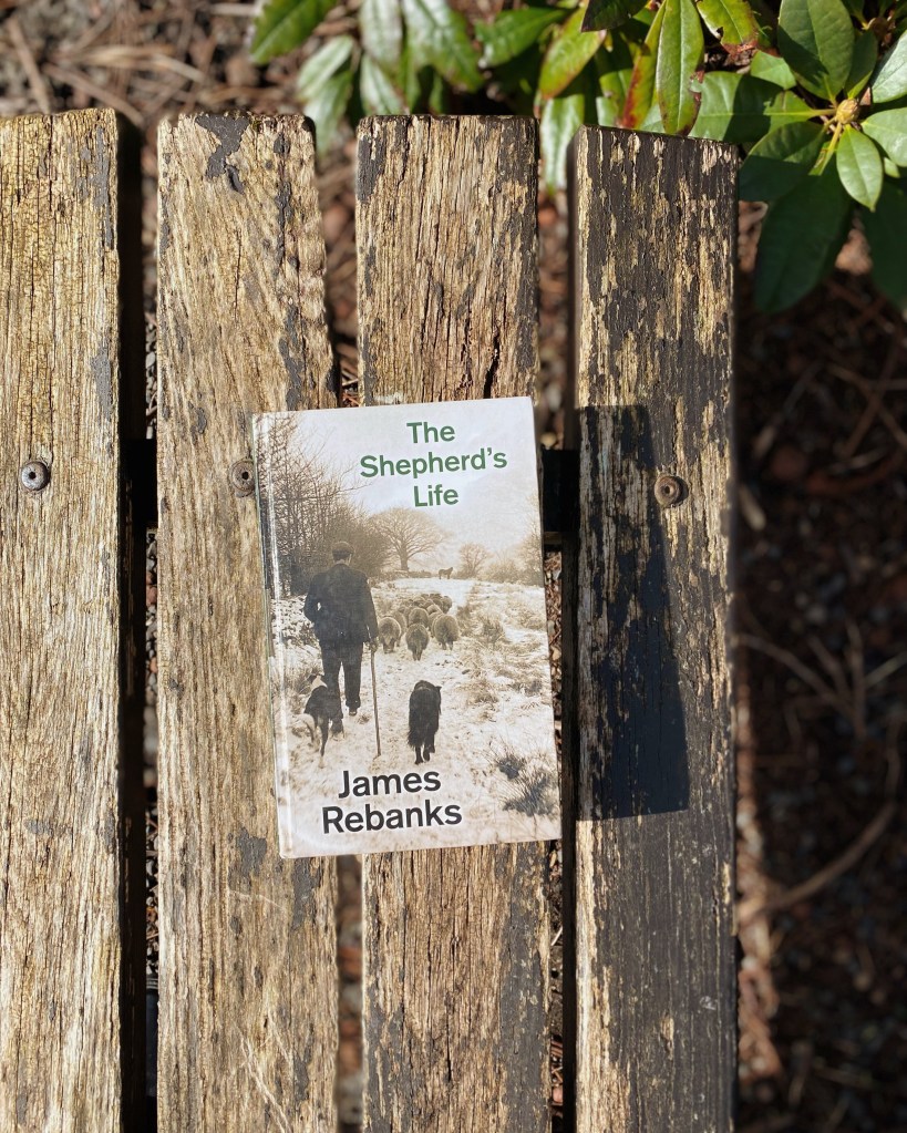 The Shepherd's Life by James Rebanks