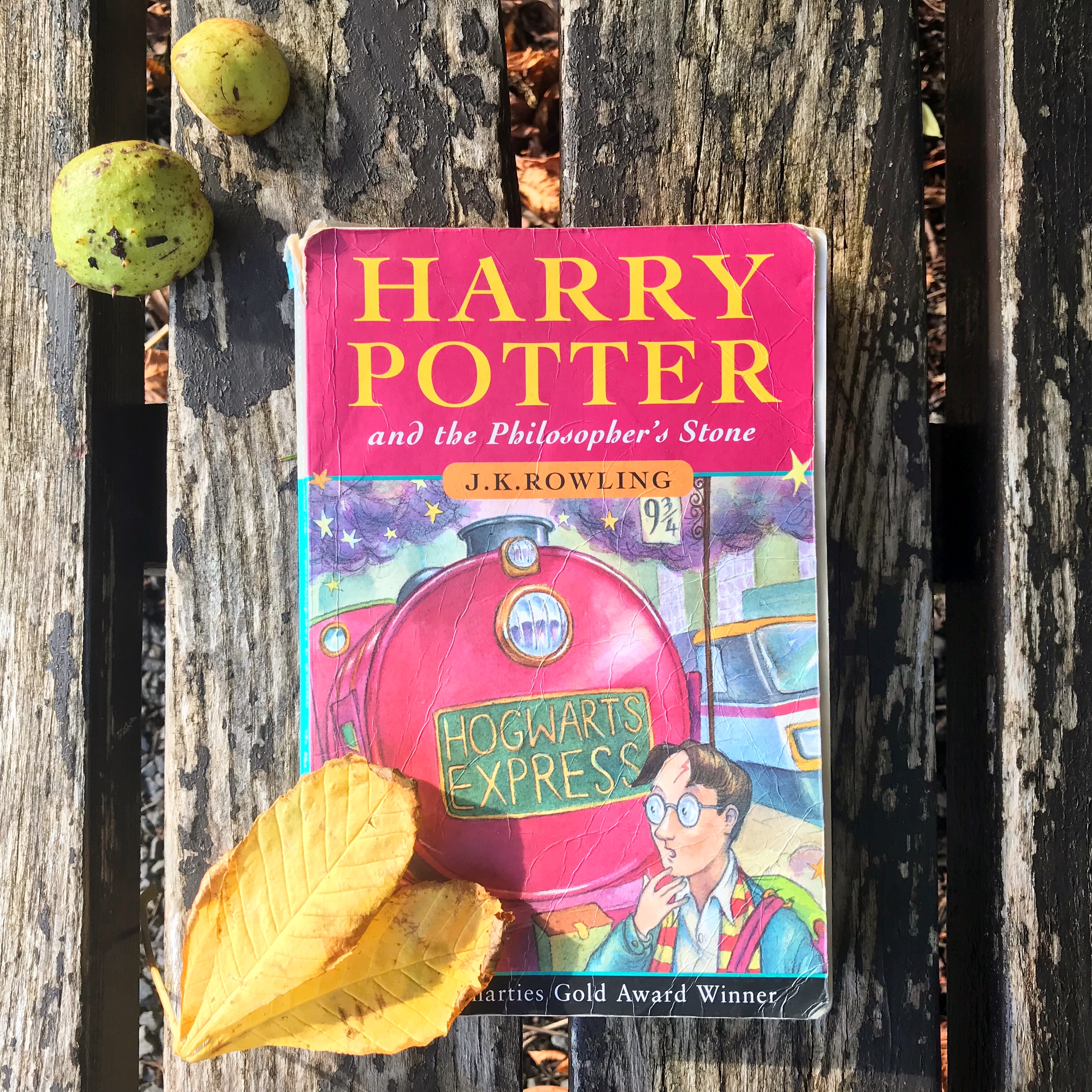 Picture of Harry Potter book on bench