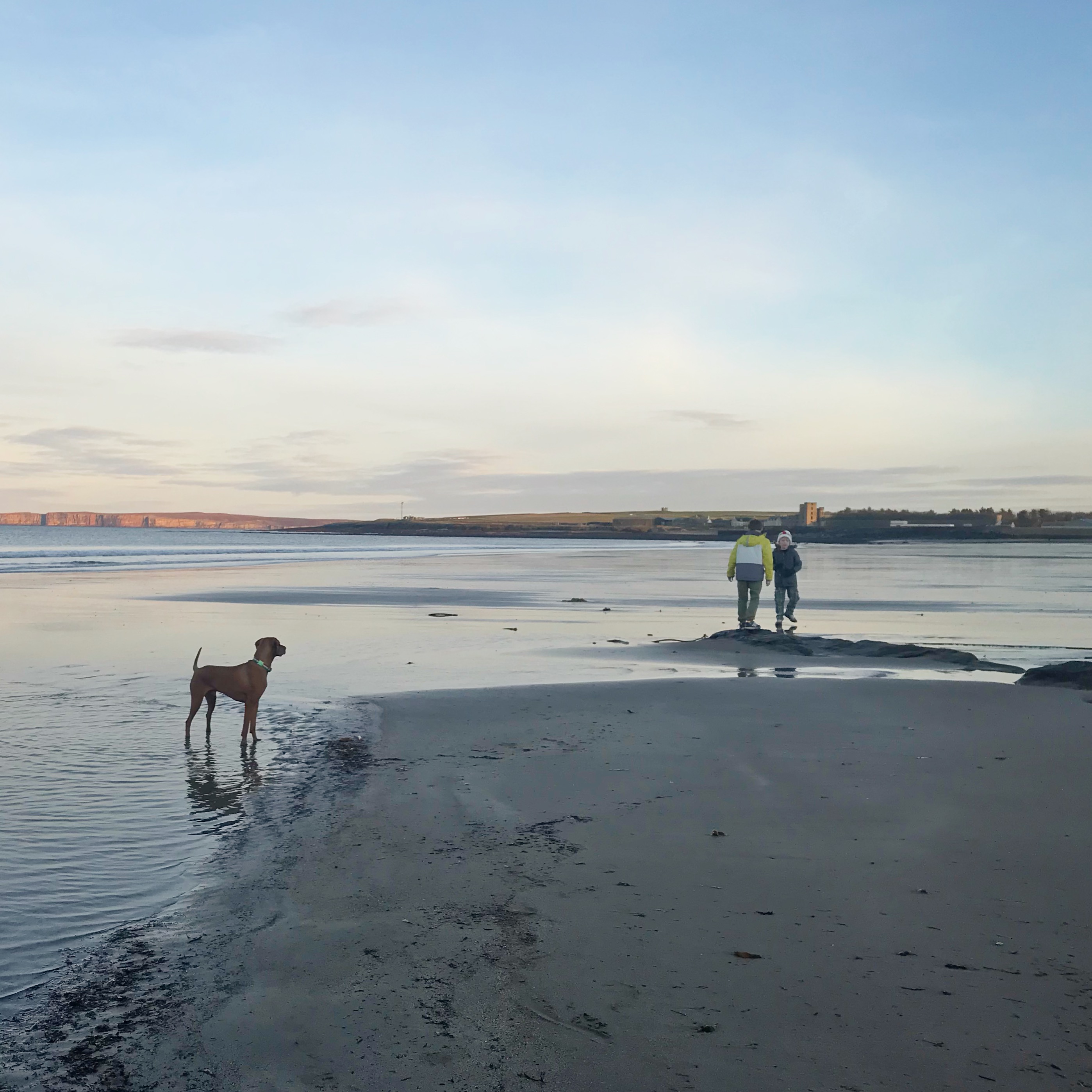 Boys and dog on beach in winter